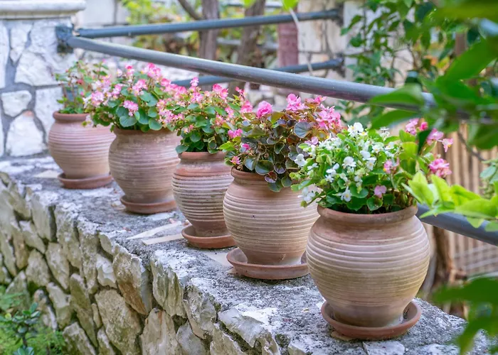 Rania-apartments 2 * Argostoli (Kefalonia)